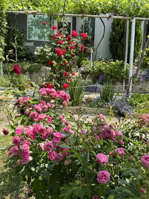 Къща с панорамна гледка