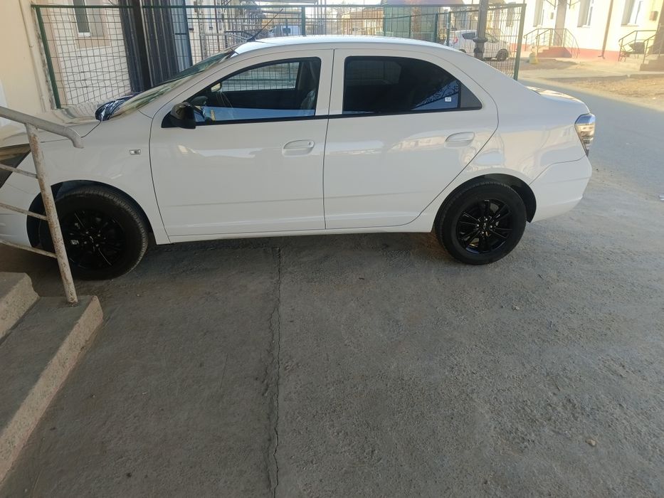 Cobalt midnight 2025