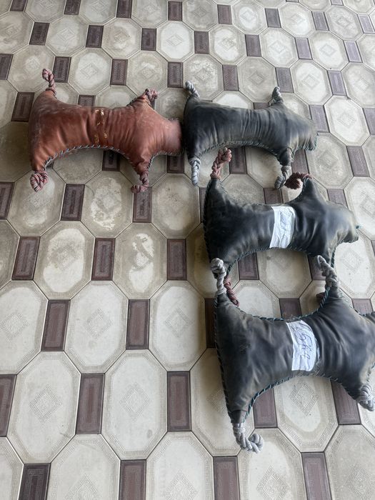Кокпарға арналған муляждар