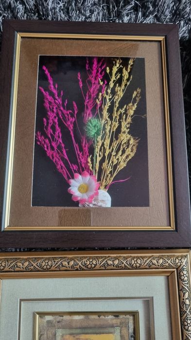 Tablou deosebite 3 D din Portugalia