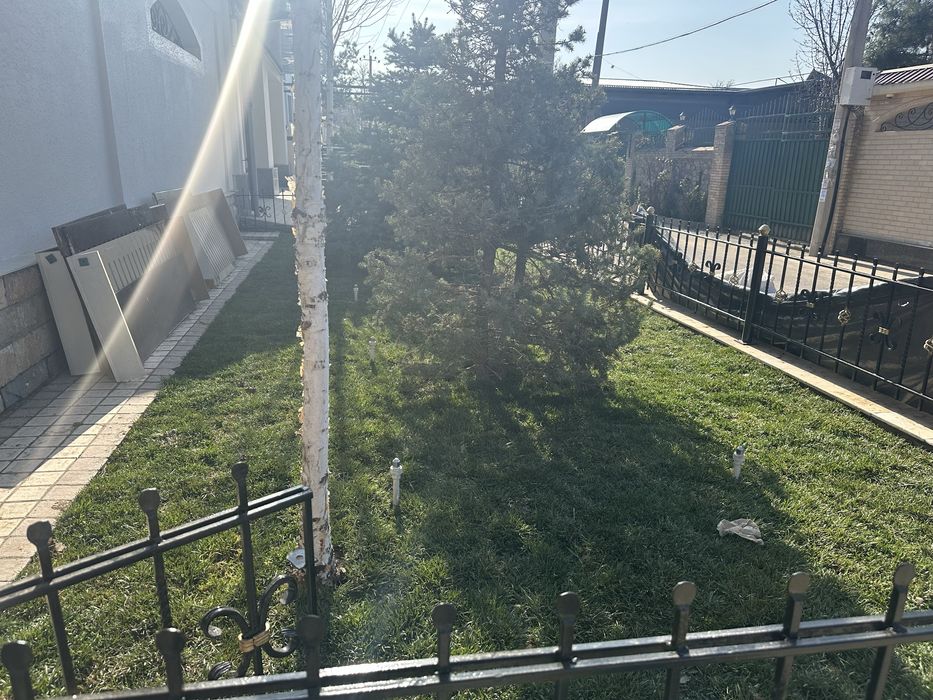 Газоны рулонные