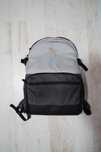 Фото раница Lowepro Truckee 250LX