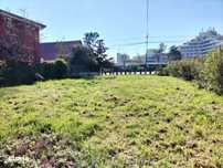 Teren de vanzare in Cap Aurora, deschidere 45ml, 500 mp, 150.000euro