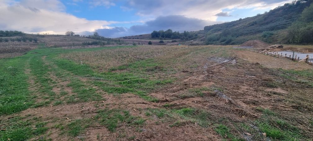 Vand teren intraviland gradina onu ortelec