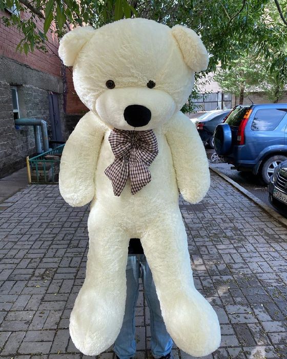 Плюшевые мишки. Мишка тэдди. Мягкие игрушки