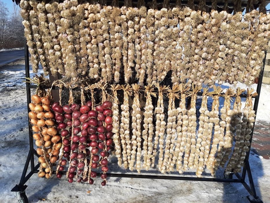 Vând ceapă și usturoi