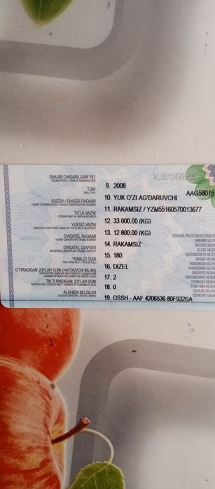 MAZ    EVRO 3 2008..