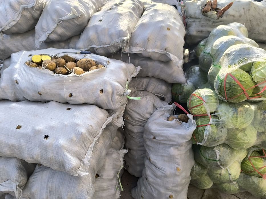 Картошка Караганда по 320тг