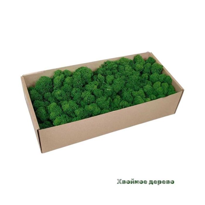 Стабилизированный Мох Оптом