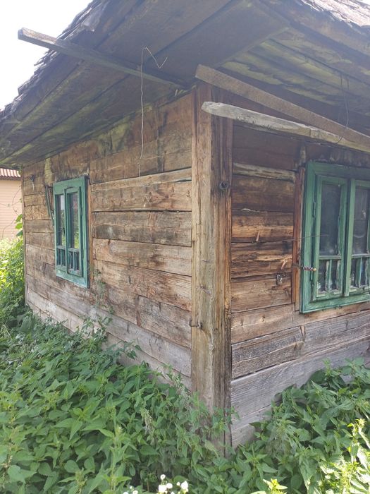 Vând grajd și bucătărie