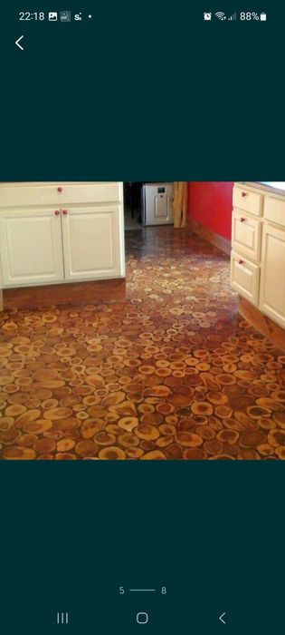 Mesteacan decorativ / Trunchiuri decor mesteacan / Rondele mesteacan