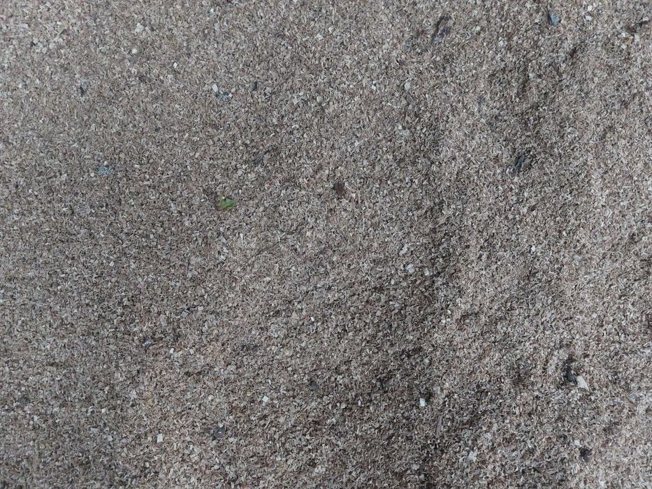 Стърготина дъбова от моторна резачка.