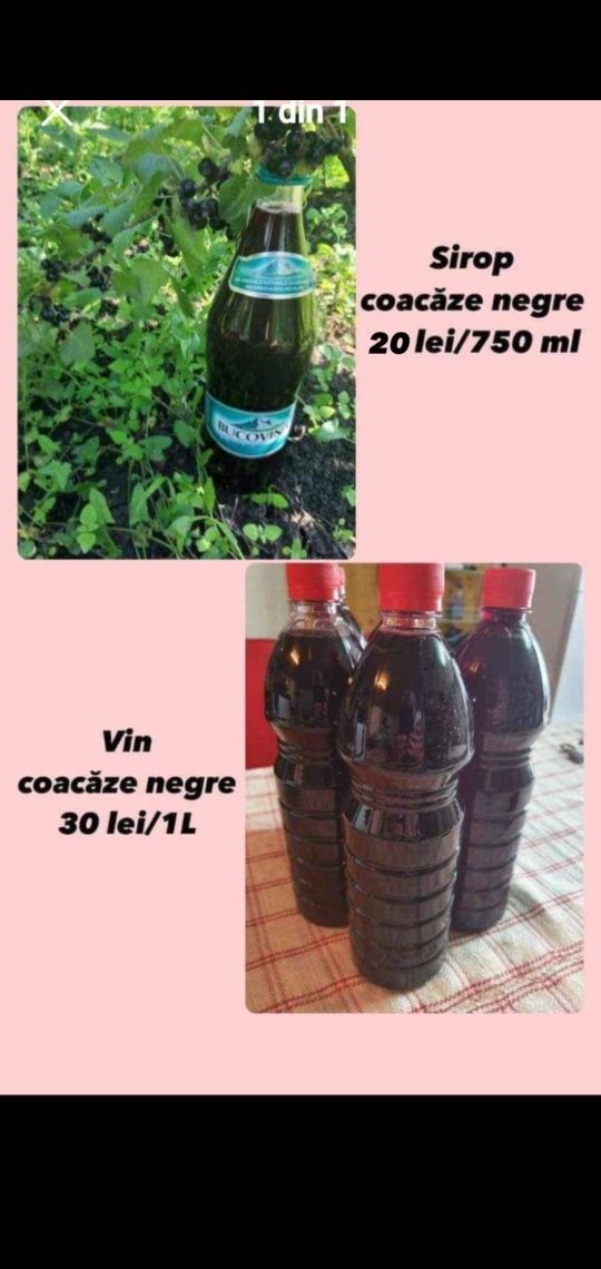 Sirop coacăze natural