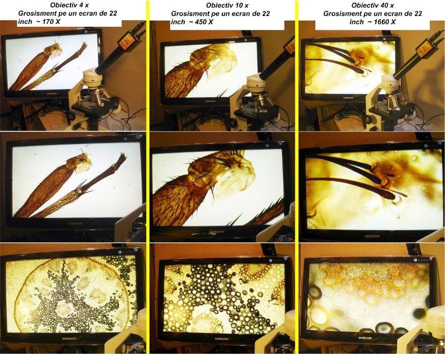 Camera video pt. microscop