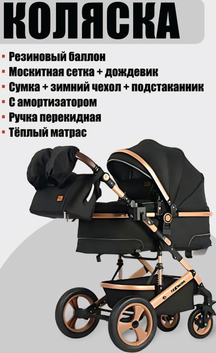 Детская коляска Teknum 531W