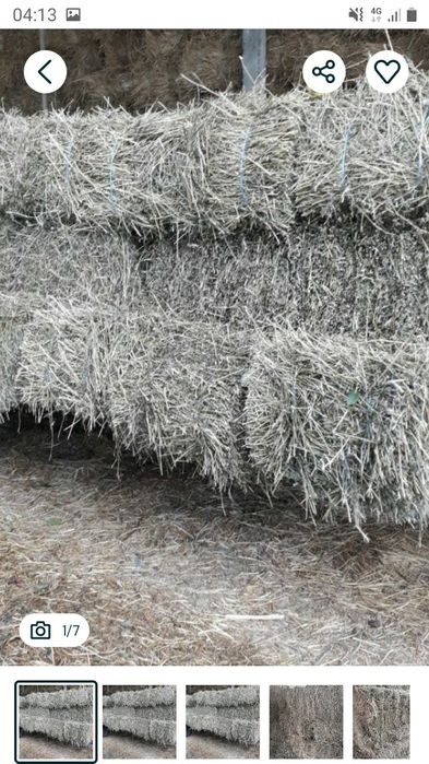 Baloți lucernă cal.1 preț.30 lei greutate 30-35 kg.caoasa a 3-4.