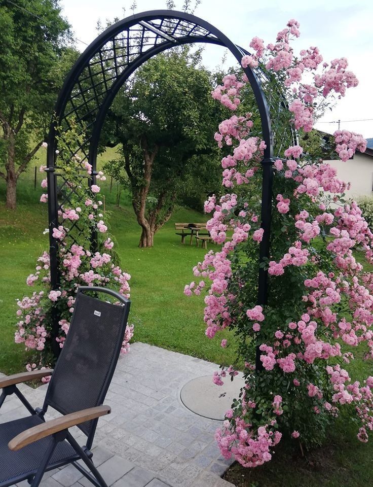 Садовая арка. Железные арки на заказ
