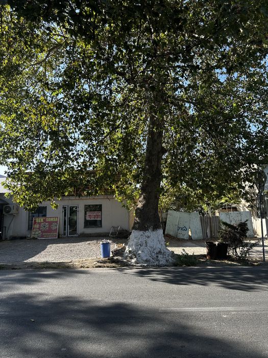 Yer sotiladi | 7.5 sotix joy | Gazalkent