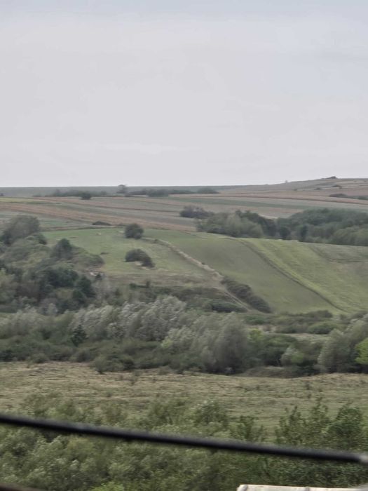 Vand casa in comuna Bethausen, sat Cladova