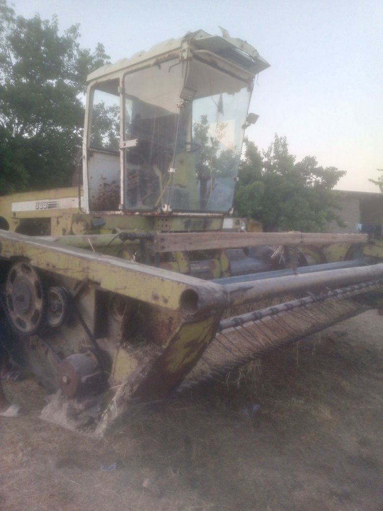 Maral303 beda urgich kambayn