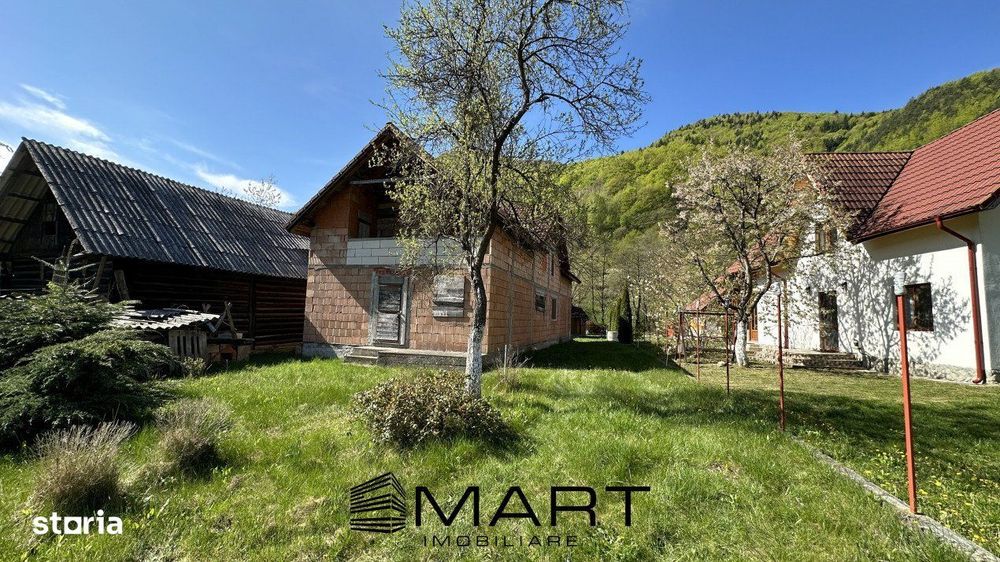 Casa cu teren langa rau Lotrioara