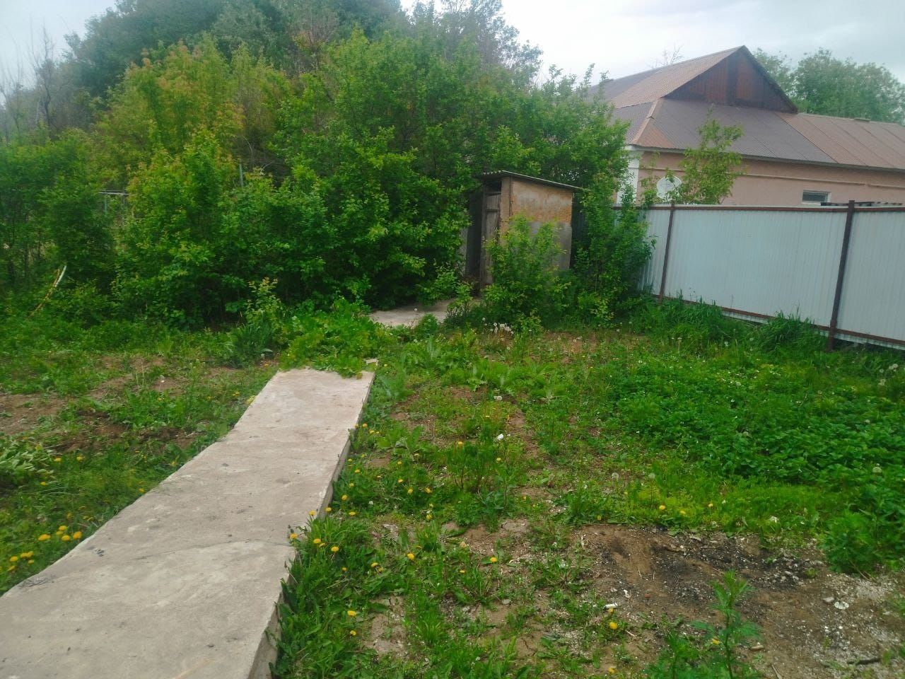 Оказываю услуги по уборке двора выкорчевки деревьев