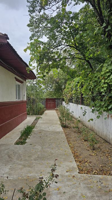 Vand casa in com.Sarateni,jud Ialomita