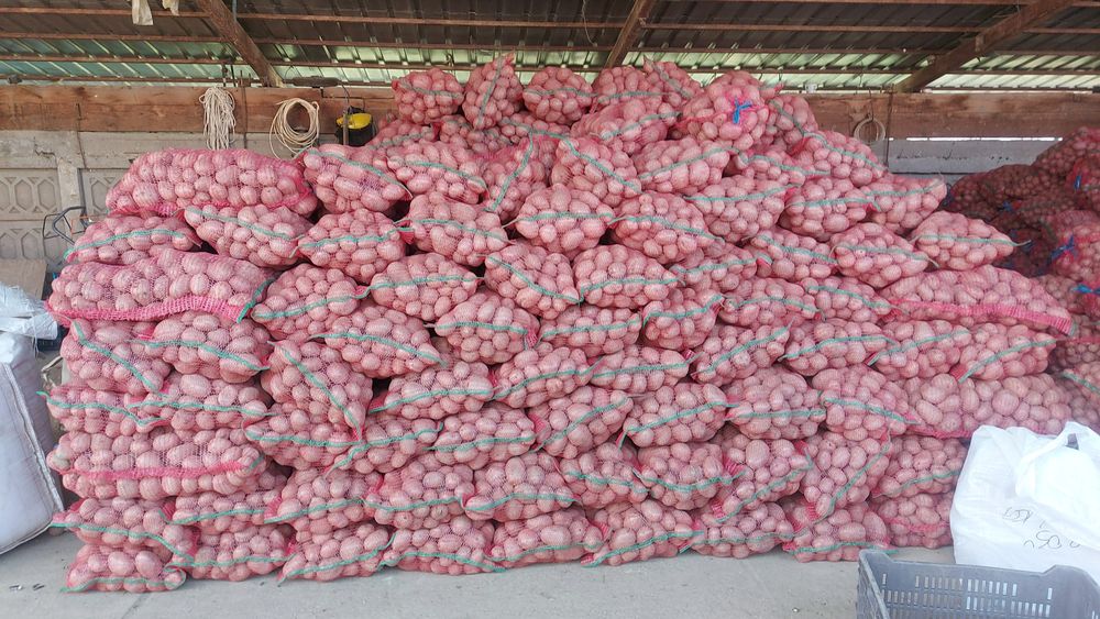 Cartofi de mâncare cu miez galben