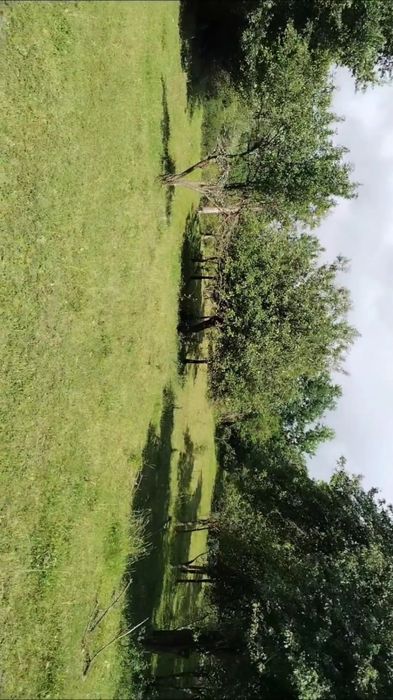 Teren extravilan în SISESTI Maramureș