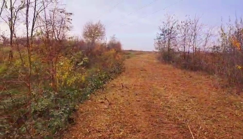 Curăț pășuni terenuri tocăm vegetația și resturi vegetale, tund gazon