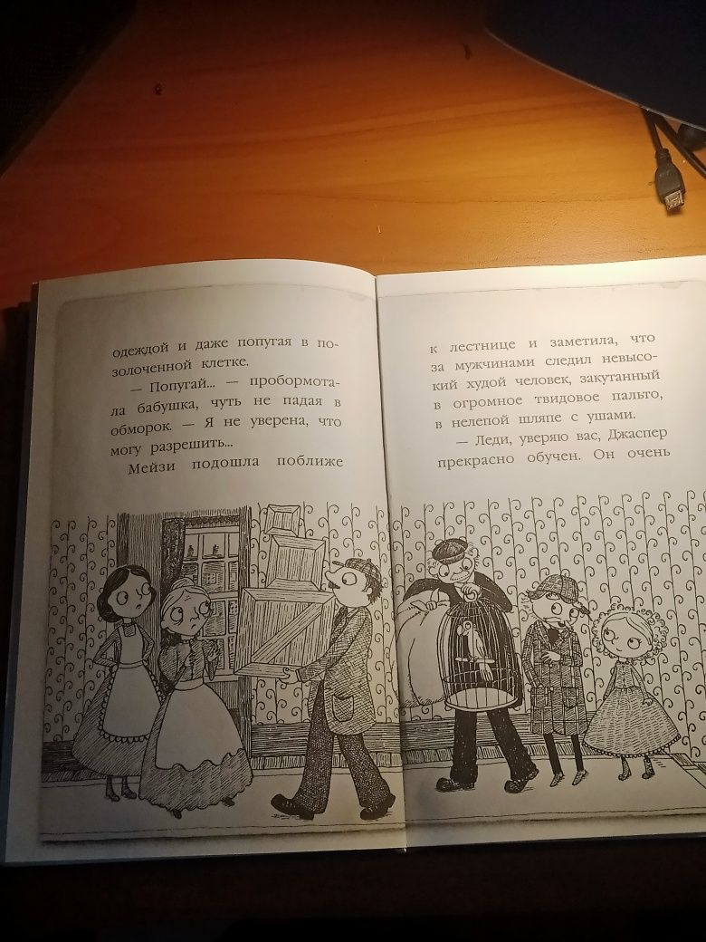 Книга Мейзи Хитчинс "загадка закрытого ящика"