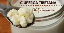 Ciupercă de chefir ptr fermentarea a 400 ml de chefir