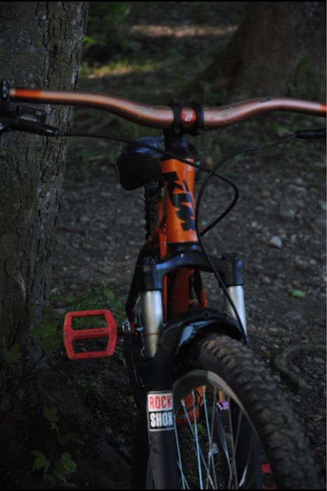 MTB Custom KTM Mullet