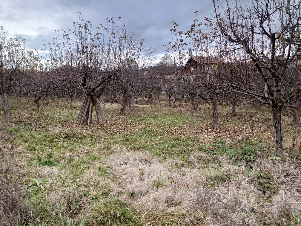 Парцел /УПИ/ в село Селище,община Благоевград - 1707м2