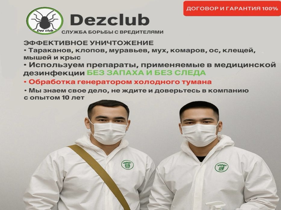 Дезинфекция уничтожение клопов тараканов блох муравьев крыс мышей