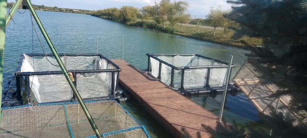 Viviere flotabile pentru creșterea peștelui