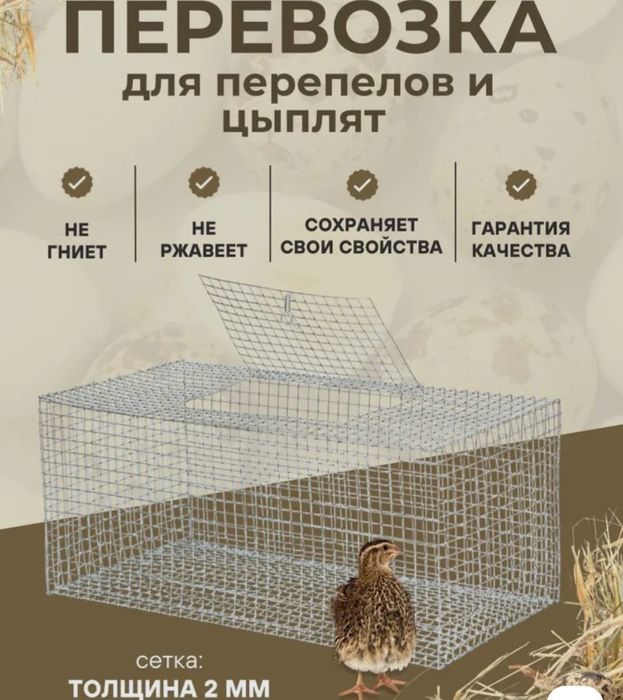 Продам сетку 20.000