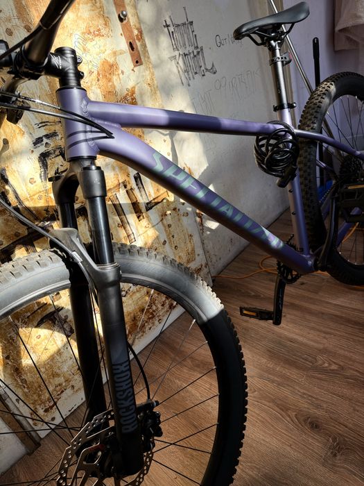 specialized rockhopper comp vn 2026 L 29'  (rockshox Judy]