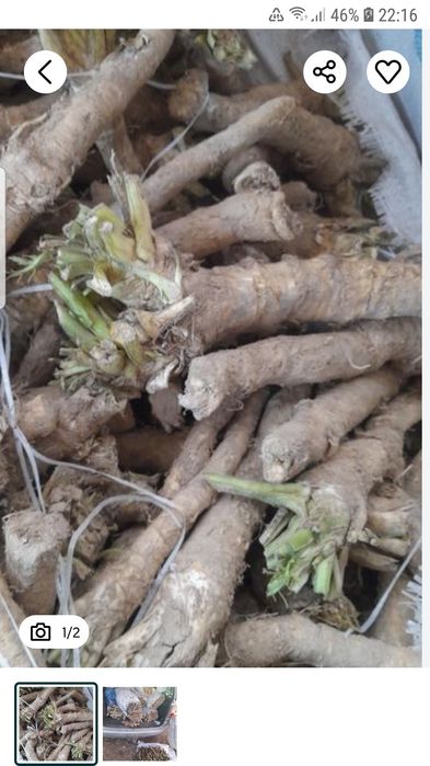 Vind hrean in vorona botosani relații la telefon