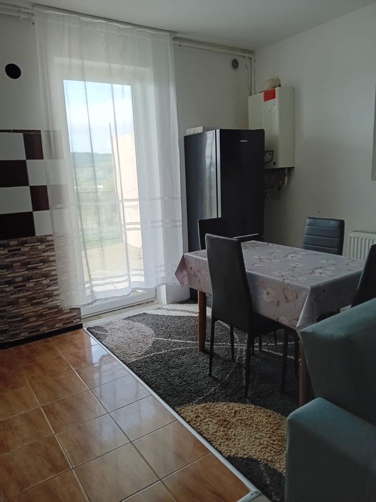 Apartament pet friendly 1 dormitor Dambul Rotund