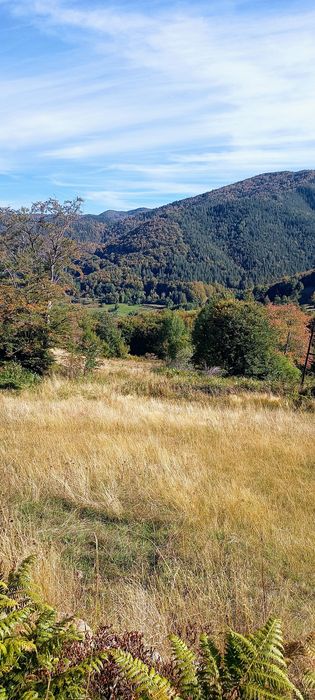 Продава се Земеделски имот в с. Сивино, Област Смолян -  кв.м за 1900 €/дка - Снимка #2