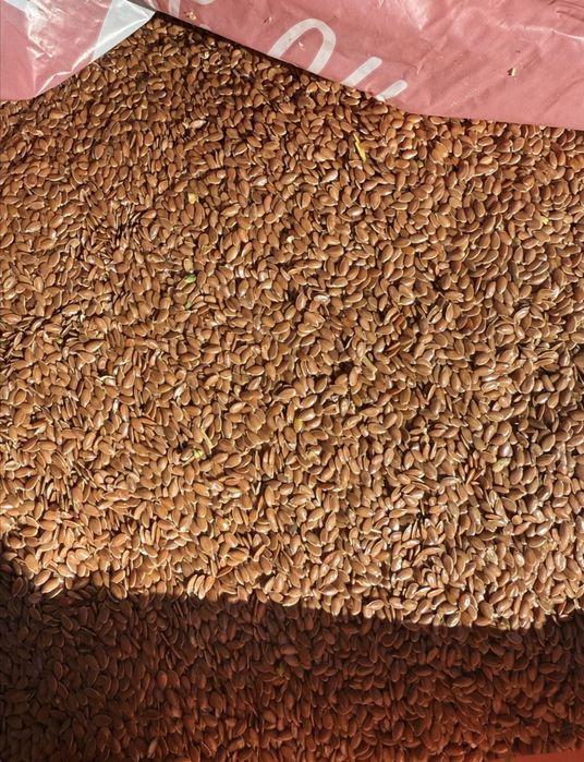 Продам Лён недорого