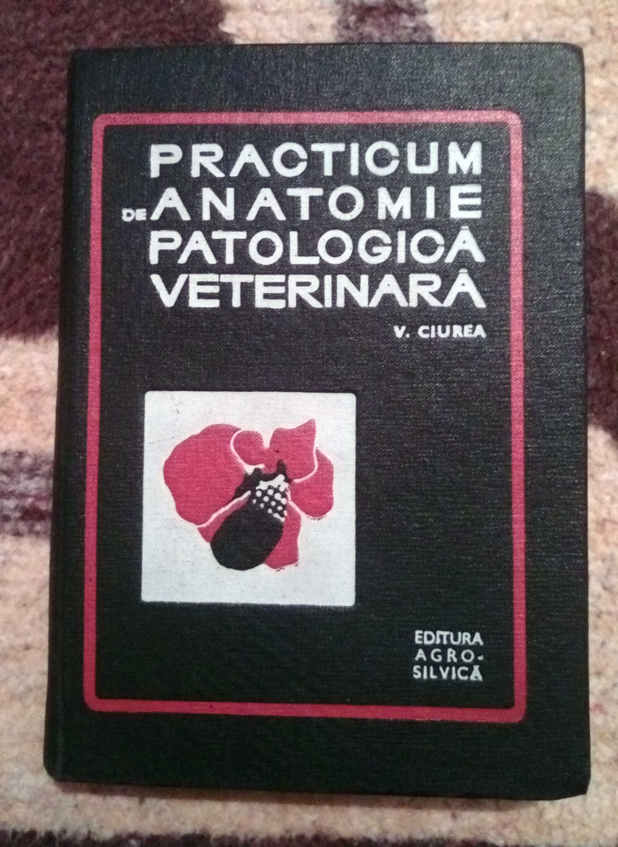 Practicum de Anatomie si Patologie Veterinara - Viorel Ciurea