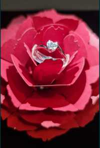 Inel logodna diamant inima 0.40 ct VVS1 SUPERB