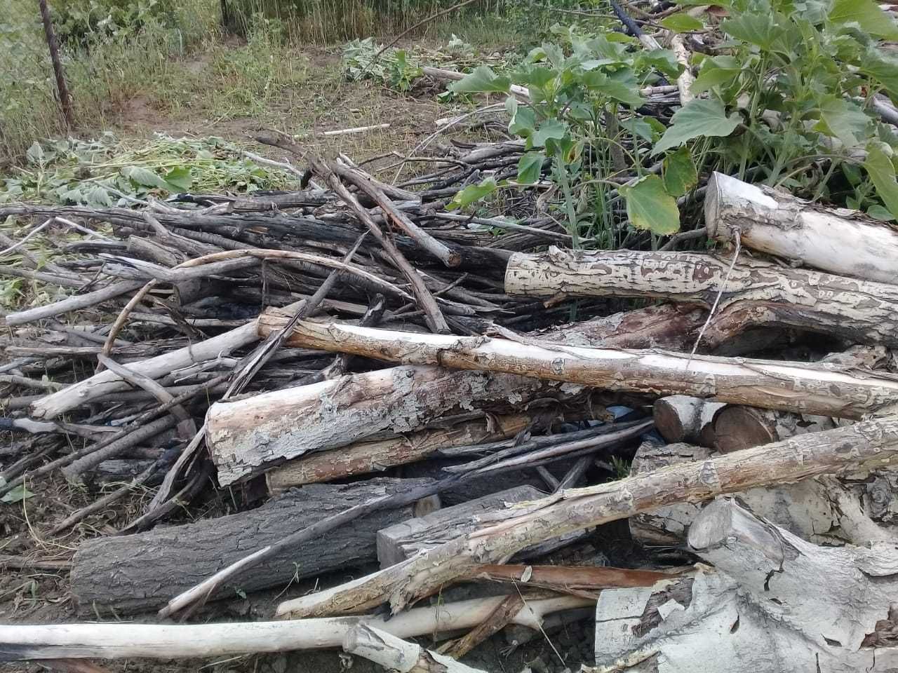 Отдам бесплатно дрова на зиму