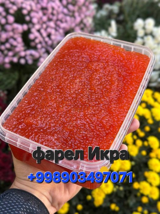 Икра Фарели—Икра Кета