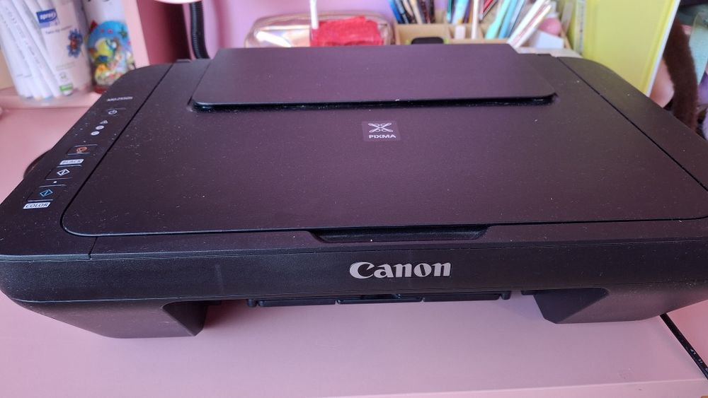 Принтер Canon pixma mg2550s