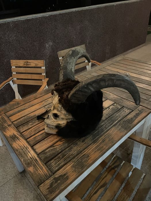 Masca krampus cu coarne de bivol