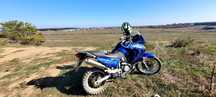 honda transalp 650 2001