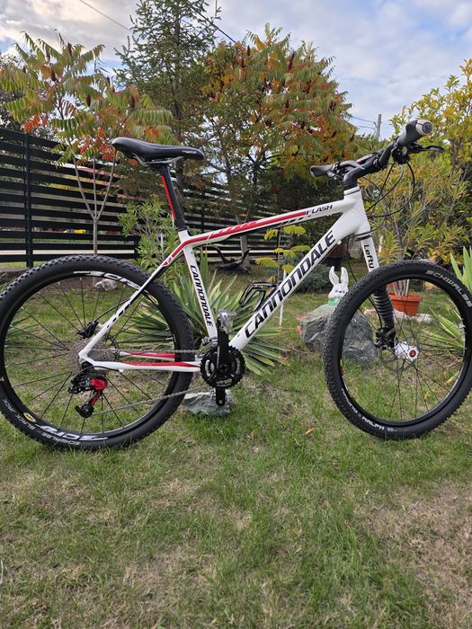 MTB Cannondale Lefty Flash